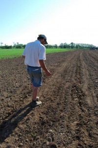 Jeff seeding winter squash