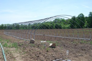 One step forward on the moveable greenhouse