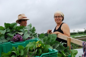 Kohlrabi pride!