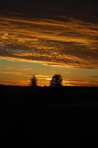 sunrise