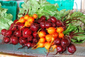 Gorgeous beets!