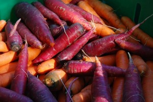 Colourful carrots!