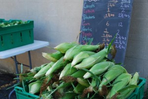 Corn