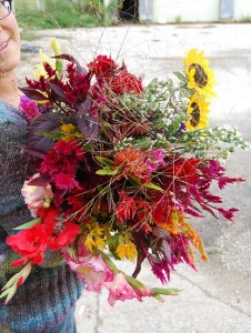 Fall flowers