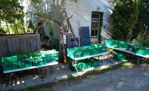 Paisley CSA pick-up