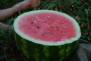 Perfect watermelon