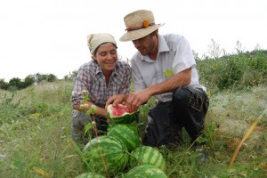 Watermelon love #1