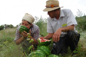 Watermelon love #4