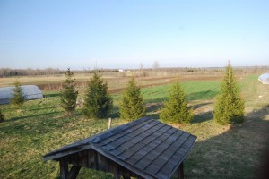 Garden April