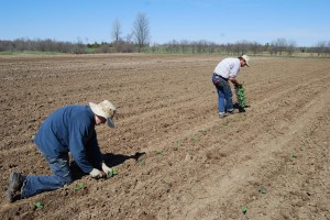 Jeff and Bennet planting