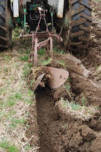 Plowing the grain ground